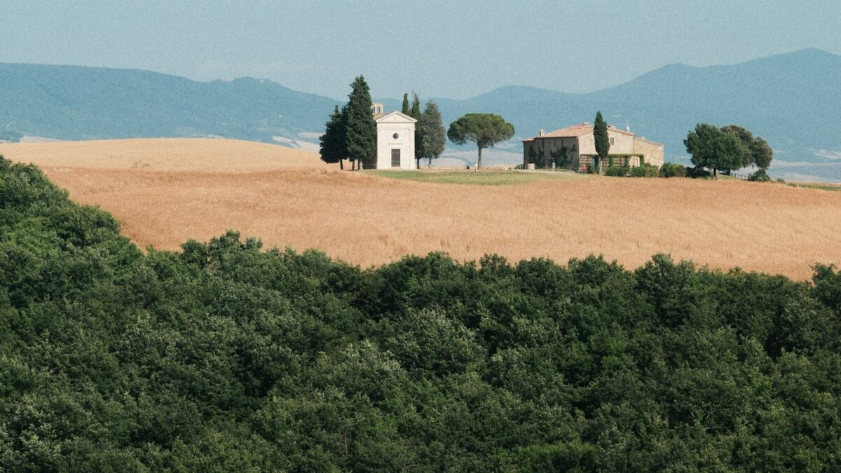 Agriturismi, 33 milioni di ospiti nel 2026: crescono le vacanze in campagna