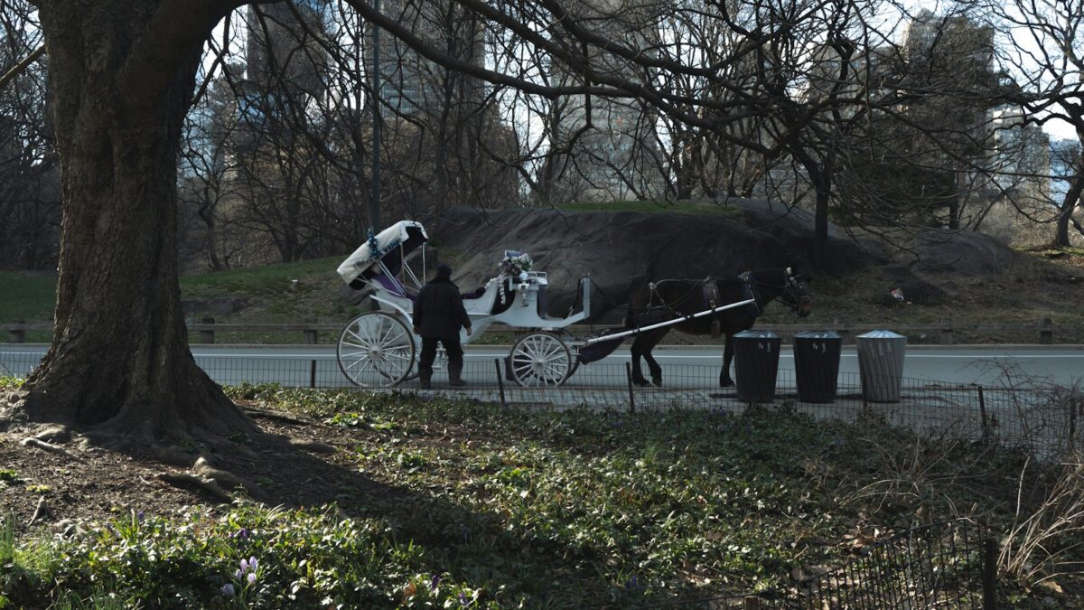 New York verso lo stop alle carrozze a cavallo di Central Park dopo 150 anni