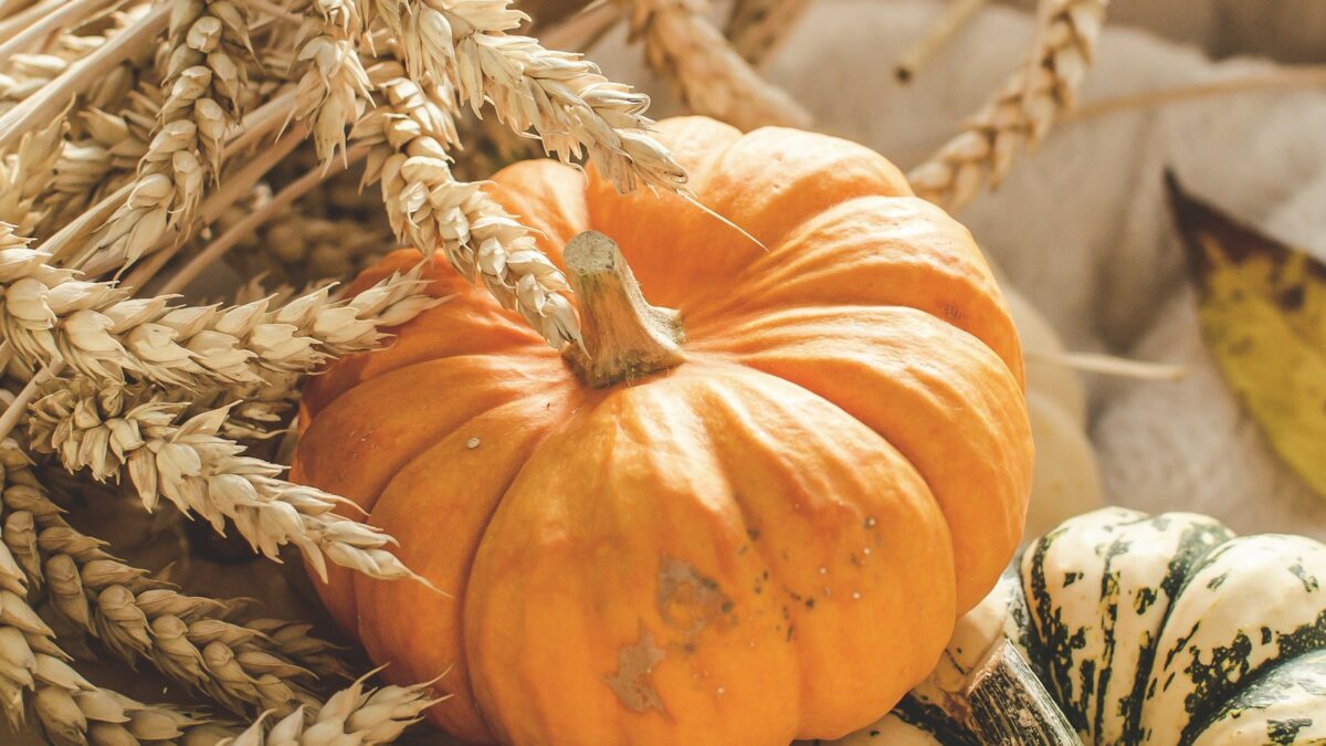 Come conservare la zucca: intera, tagliata, in freezer
