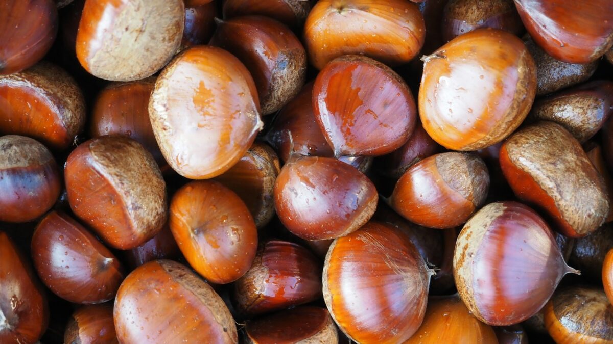 Come conservare le castagne: in frigo, in freezer e con il metodo della novena