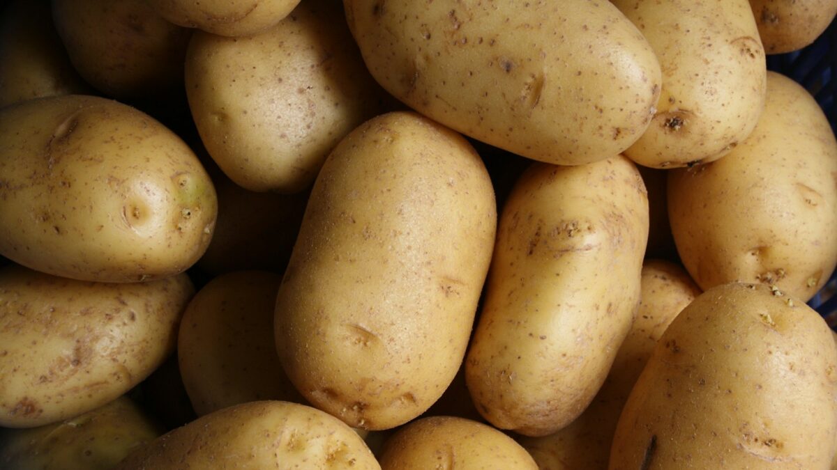 Come conservare le patate: dove metterle, perché non in frigo e quando buttarle
