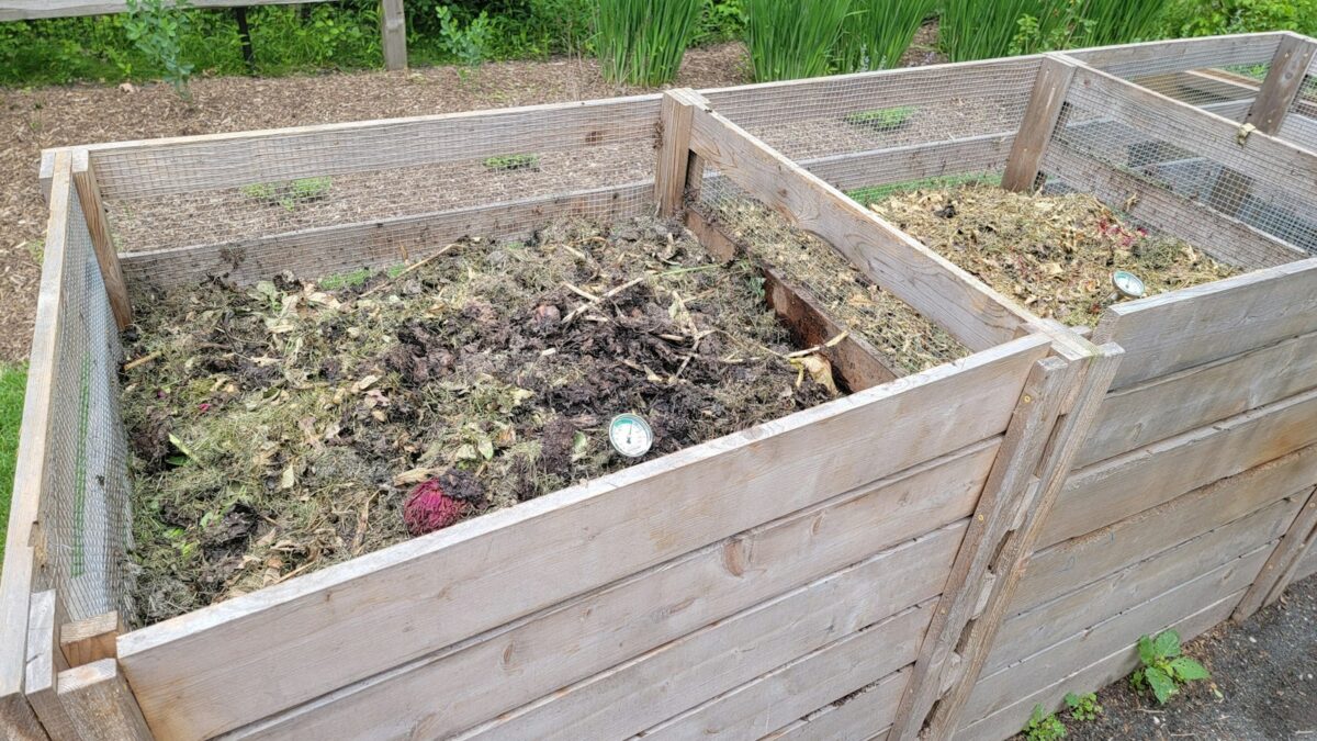 Come fare il compost in casa: cosa mettere, cosa evitare e lo sconto sulla TARI
