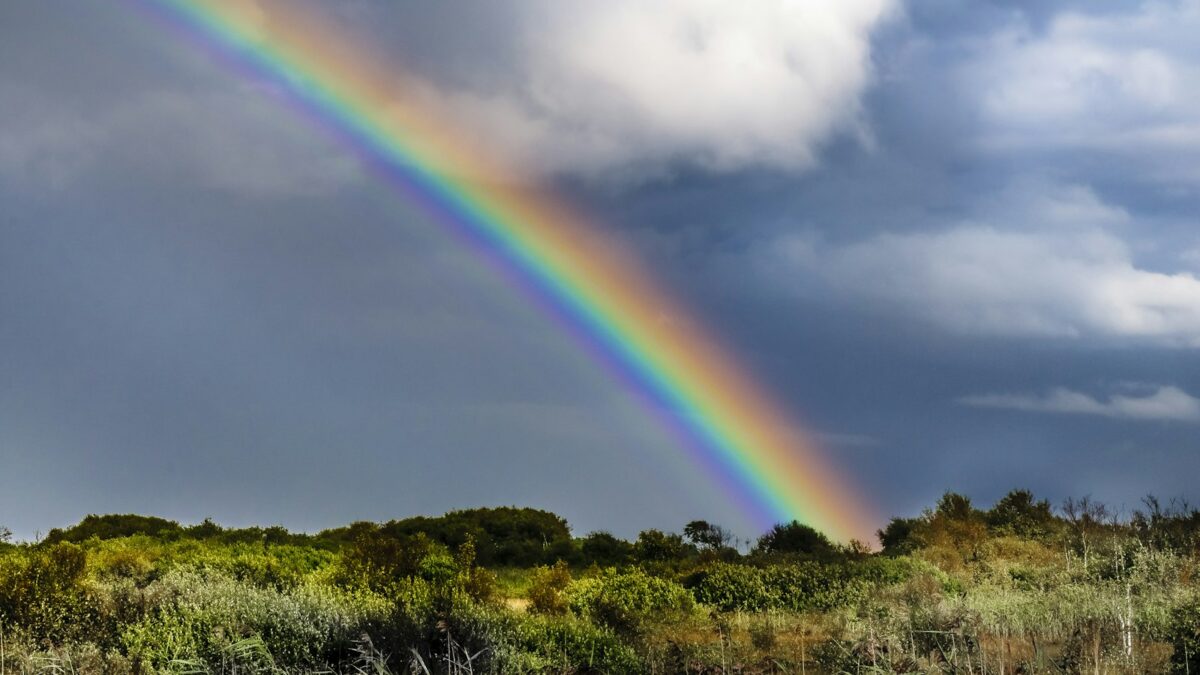 Come si forma l'arcobaleno: luce, gocce di pioggia e un angolo di 42 gradi