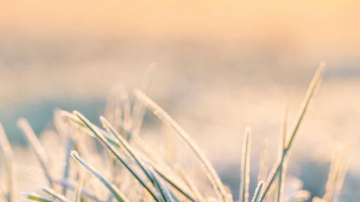 Come si forma la brina e perché compare nelle notti serene d'autunno