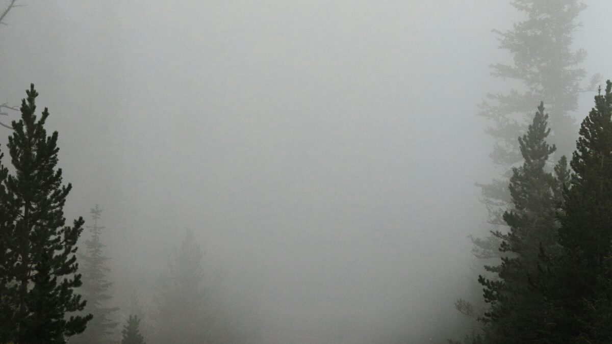 Come si forma la nebbia? Perché in autunno e perché proprio in Pianura Padana