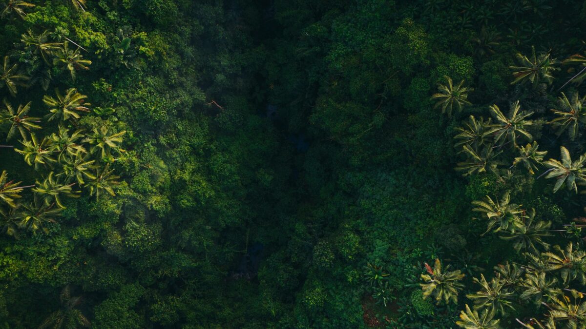 COP17 sulla biodiversità: in Armenia si fa il punto sugli obiettivi 2030