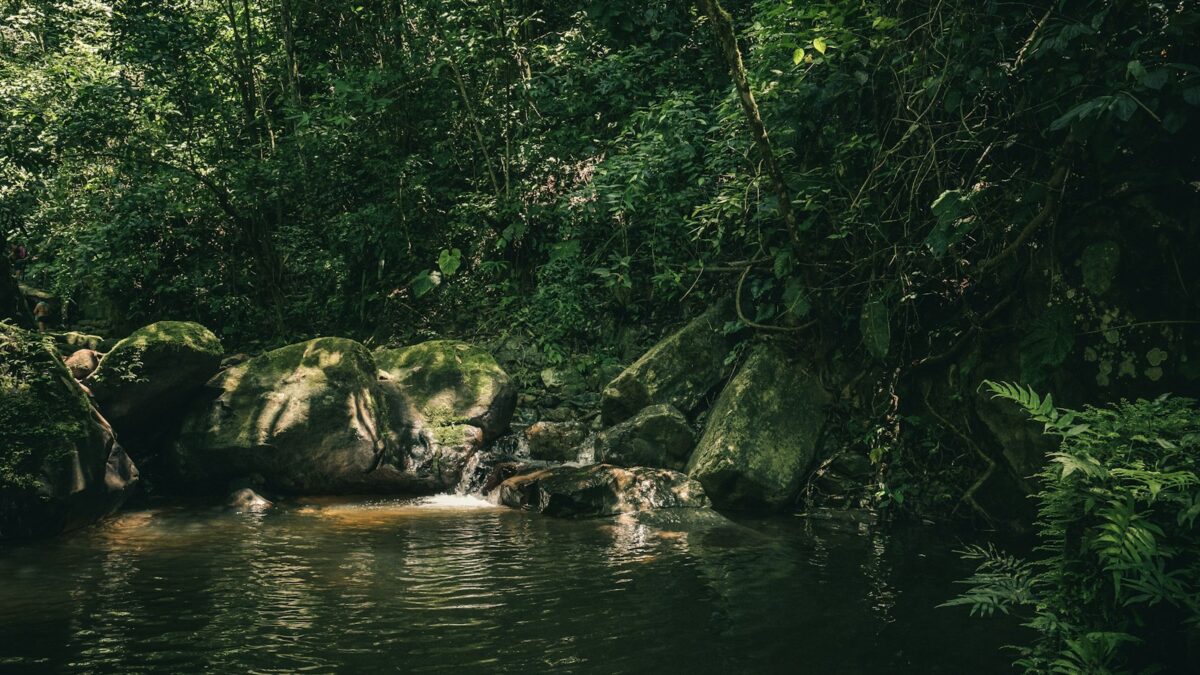 Deforestazione in Amazzonia ai minimi dal 1988: persi 3.335 km² di foresta in un anno