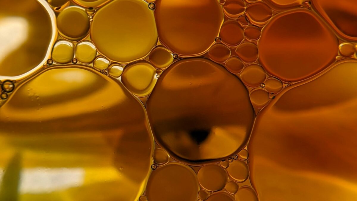 Dove buttare l'olio della frittura: come smaltire l'olio esausto