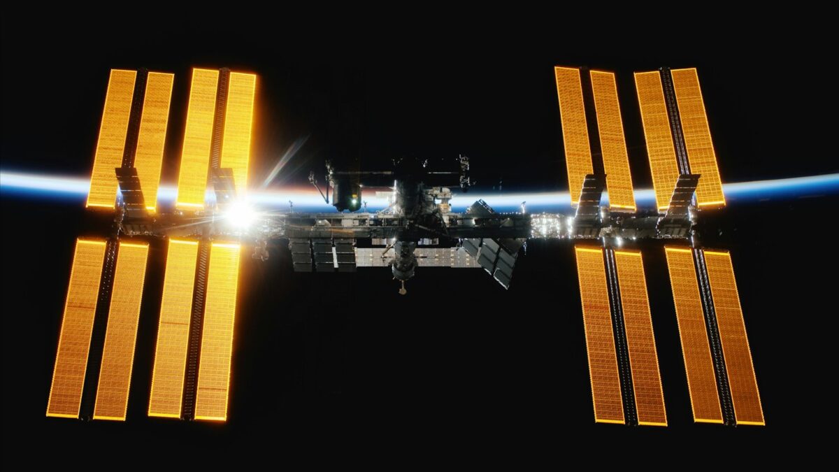 Gamberetti e alghe in orbita: sulla Stazione spaziale un ecosistema studiato da Torino