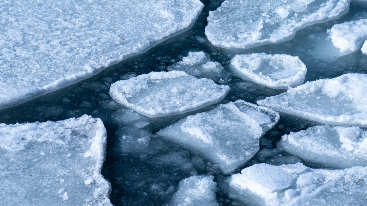 Ghiaccio marino, l'Antartide segna il terzo inverno più povero di sempre