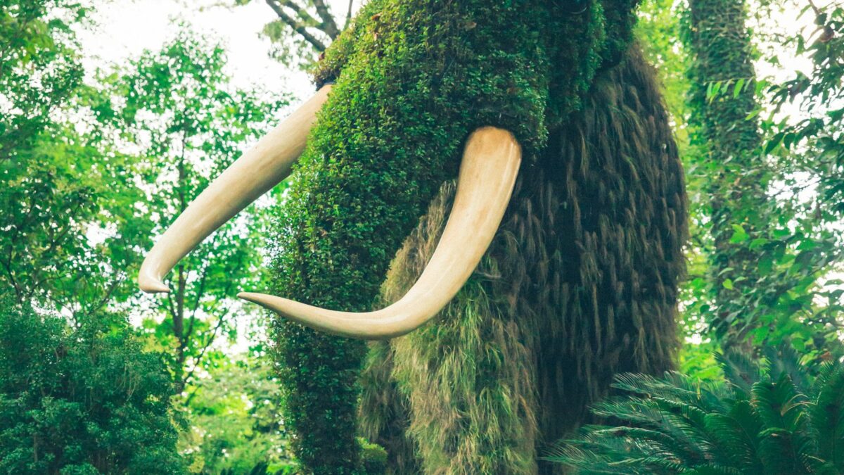 Un cimitero di mammut sotto un cantiere: era una "macelleria" di 27.000 anni fa