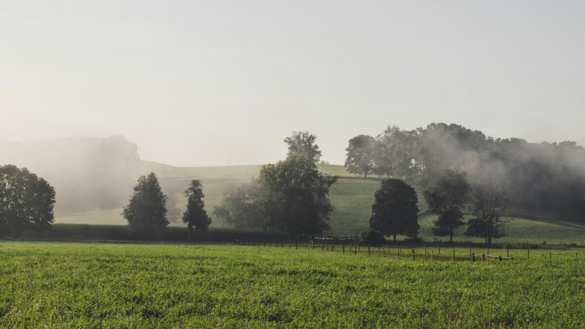 Meteo oggi 29 ottobre: nebbia al mattino al Nord, sole e nessuna allerta
