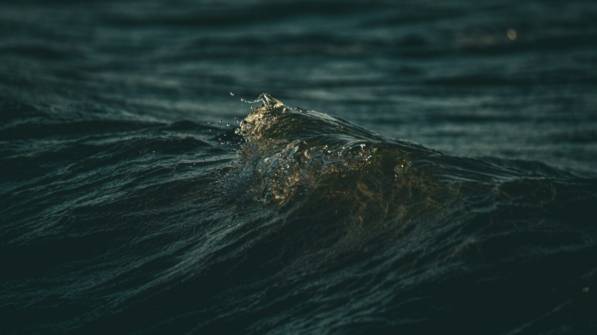 Perché il mare è salato (e i fiumi no)? La spiegazione semplice