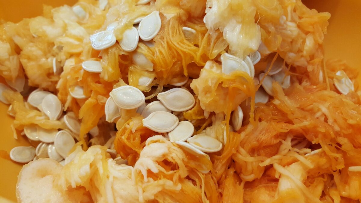 Semi di zucca tostati: come farli in forno e in padella