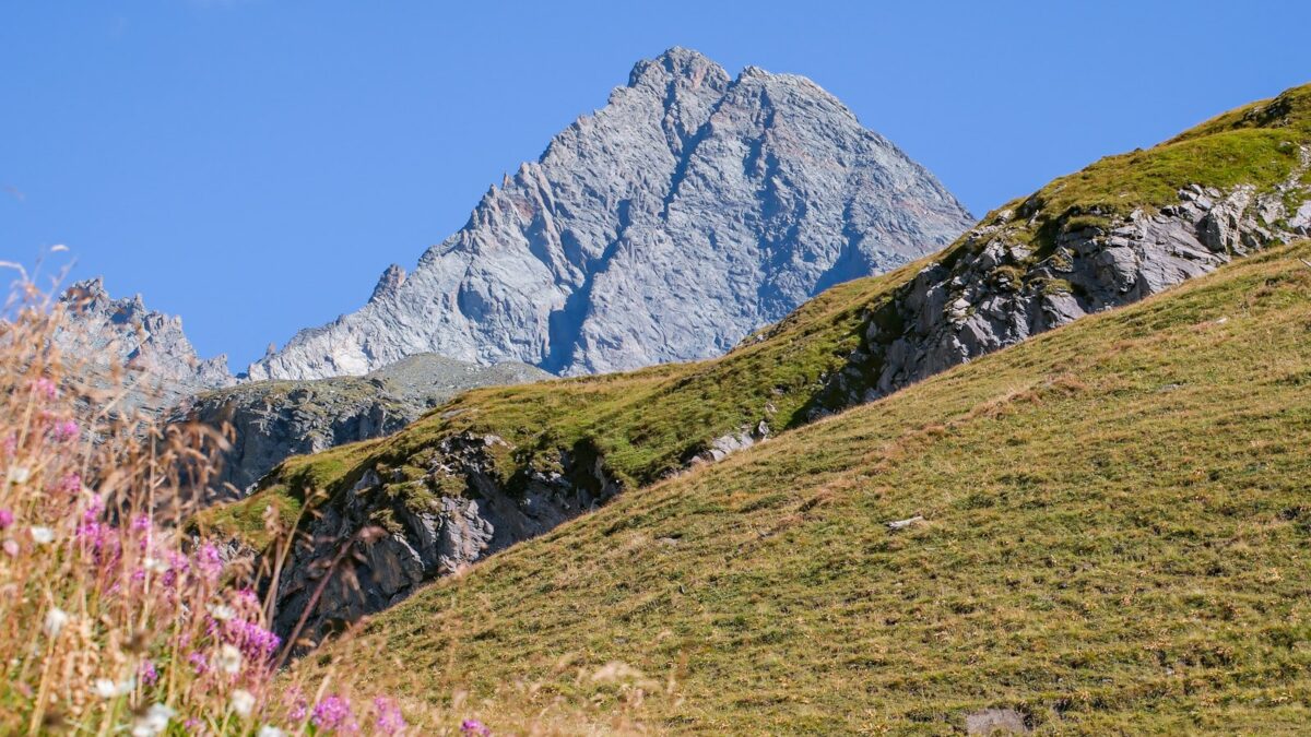 Valsesia, tre invertebrati rari segnalati per la prima volta nei parchi