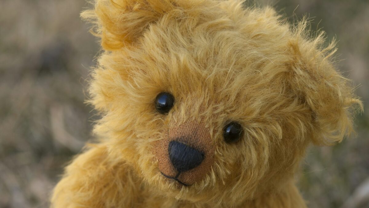 Winnie the Pooh compie 100 anni: la storia dell'orsetto nato da un peluche vero